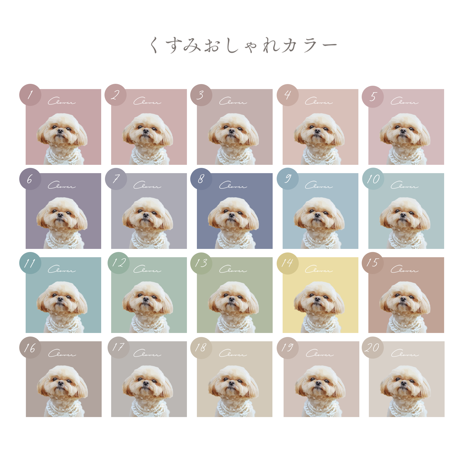 オーダーメイドペットアート うちの子アート アート風