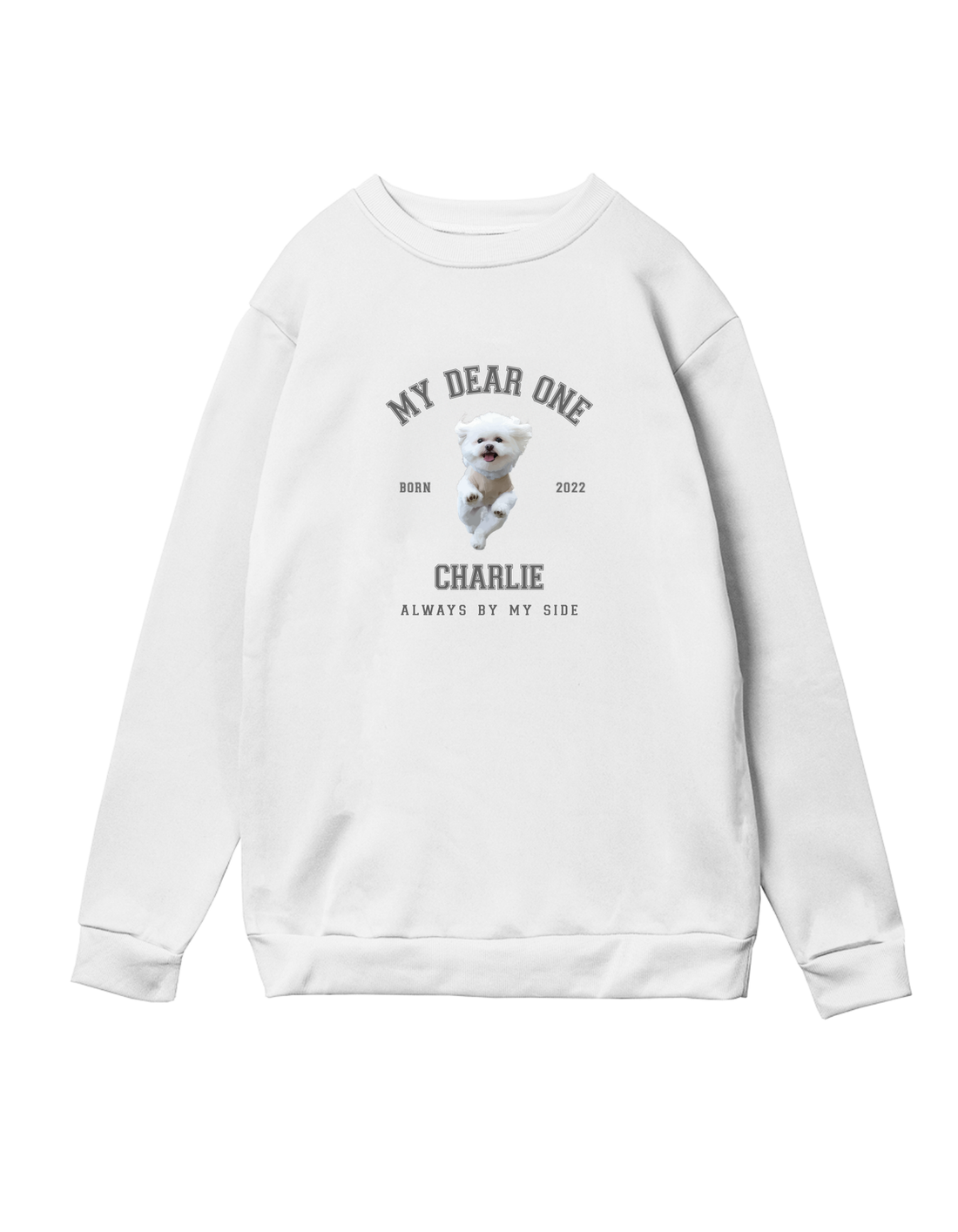 アッシュチャコール