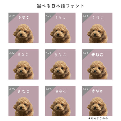 オーダーメイドペットTシャツ うちの子Tシャツ