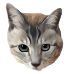 顔のみを入れる