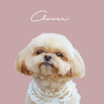 New くすみカラー1