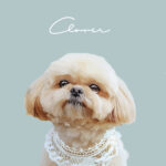 New くすみカラー10