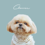 New くすみカラー11