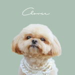 New くすみカラー12