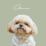 New くすみカラー13