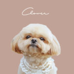 New くすみカラー15