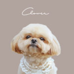 New くすみカラー16