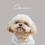 New くすみカラー17