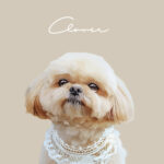 New くすみカラー18