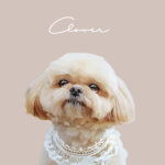 New くすみカラー19