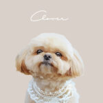 New くすみカラー20