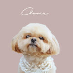 New くすみカラー3