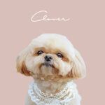 New くすみカラー4