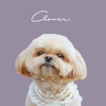 New くすみカラー6