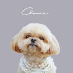 New くすみカラー7