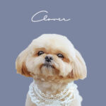 New くすみカラー8