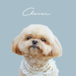 New くすみカラー9