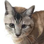 アート風にデザイン +&yen;1,000