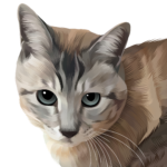 手書きアート +&yen;2,300